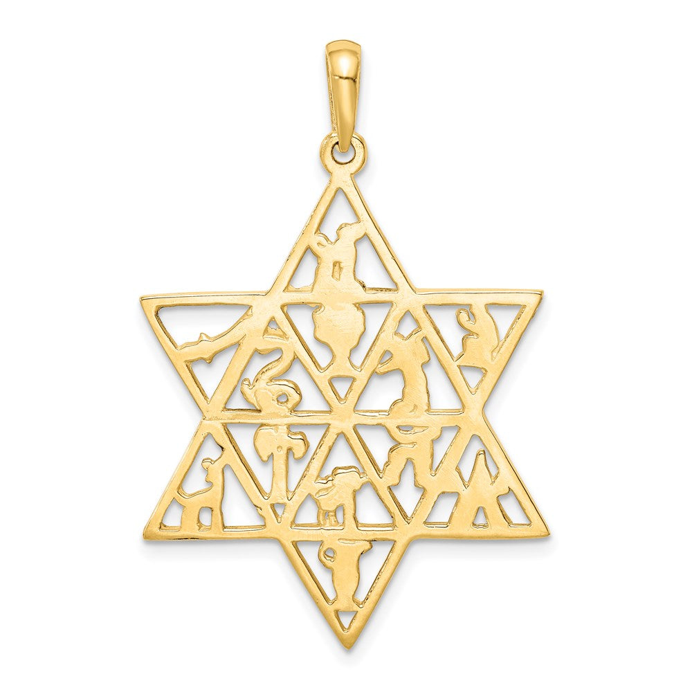 14K Yellow Gold Star Of David 12 Tribes Pendant