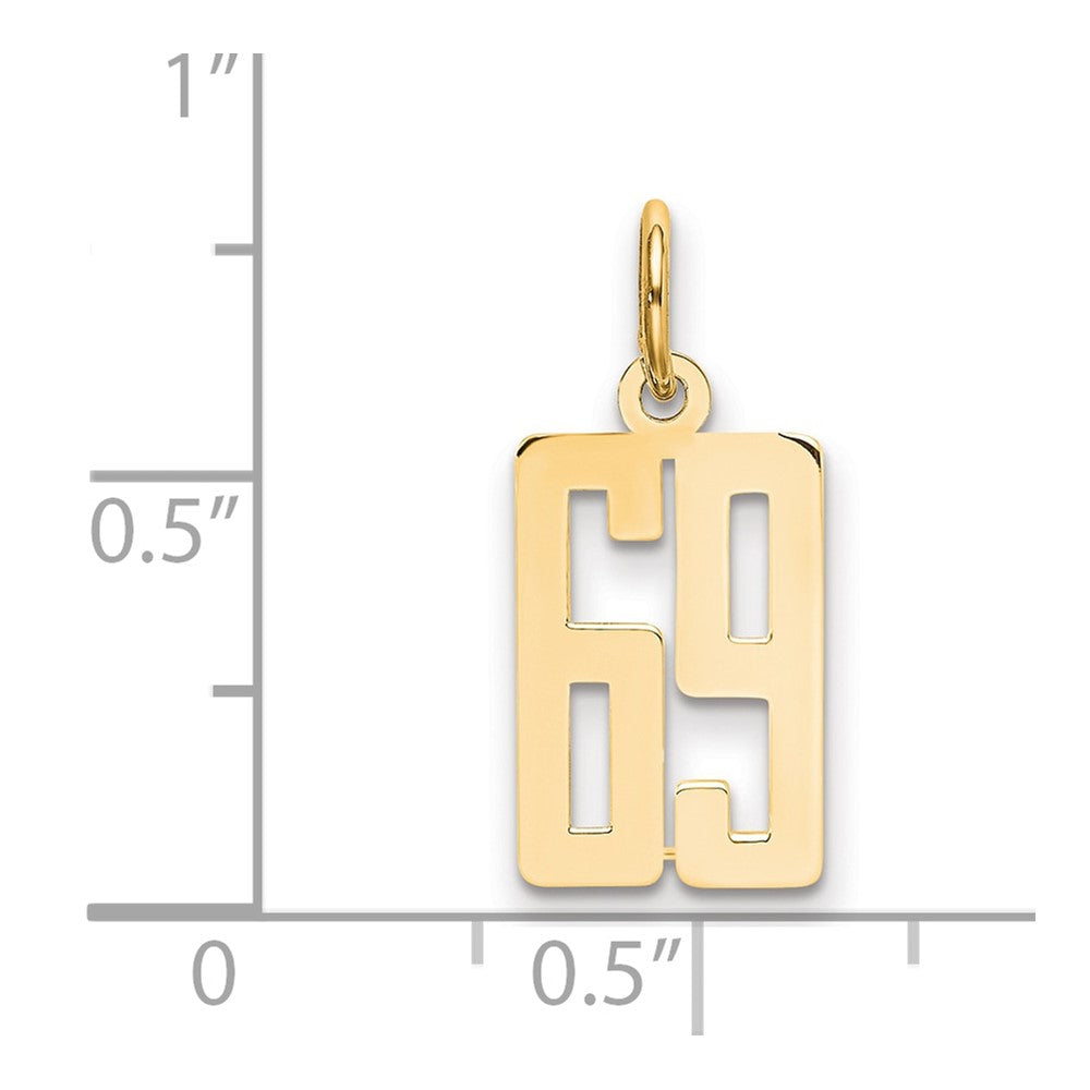 14k Small Elongated Number 69 Charm