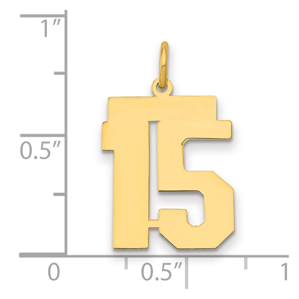 14k Medium Polished Number 15 Charm