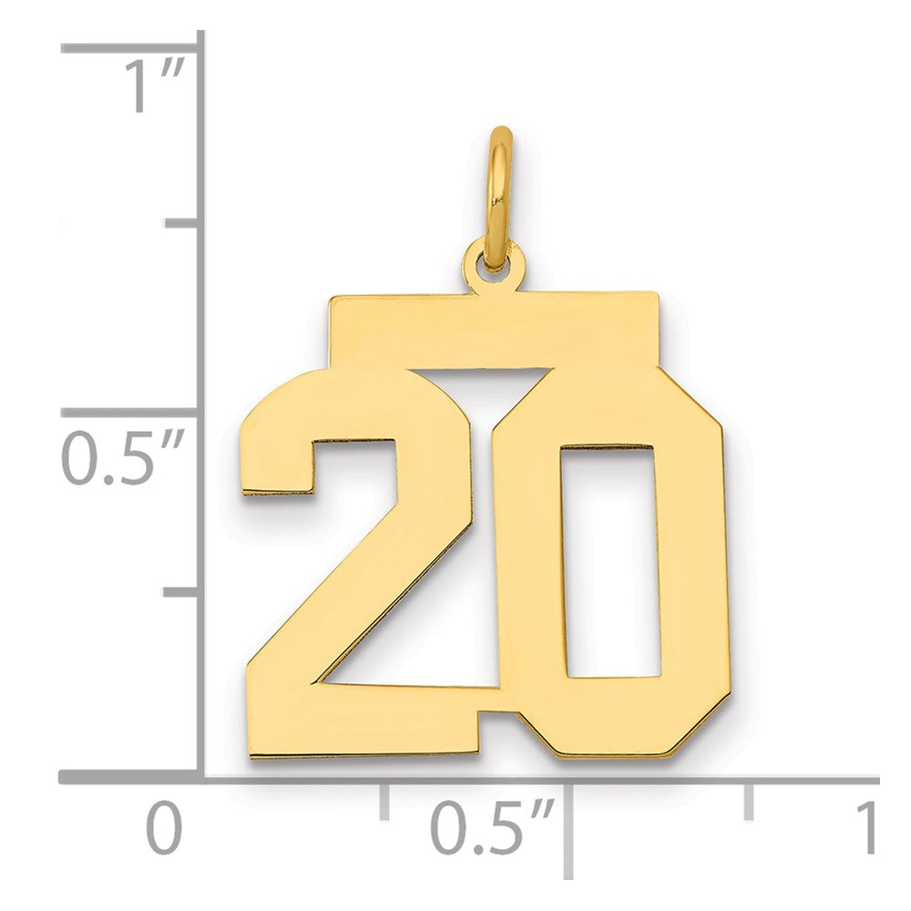 14k Medium Polished Number 20 Charm