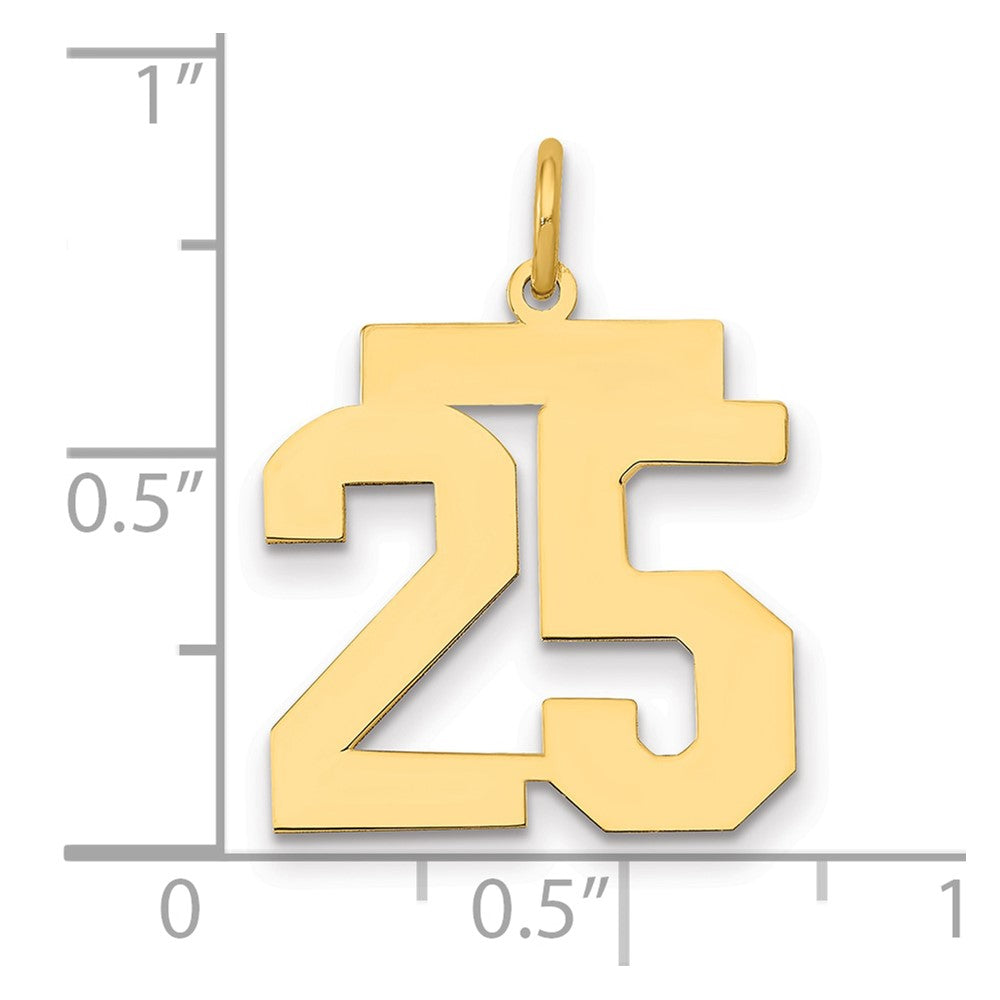 14k Medium Polished Number 25 Charm