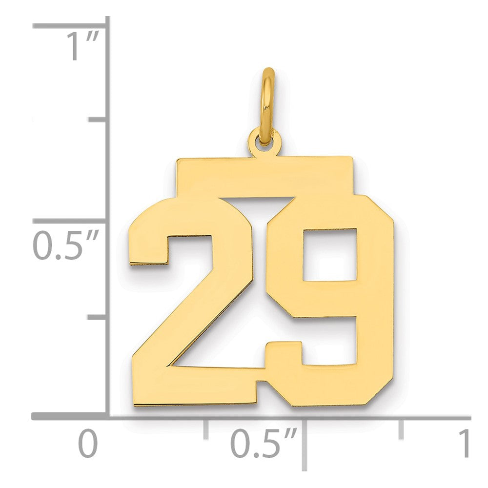 14k Medium Polished Number 29 Charm