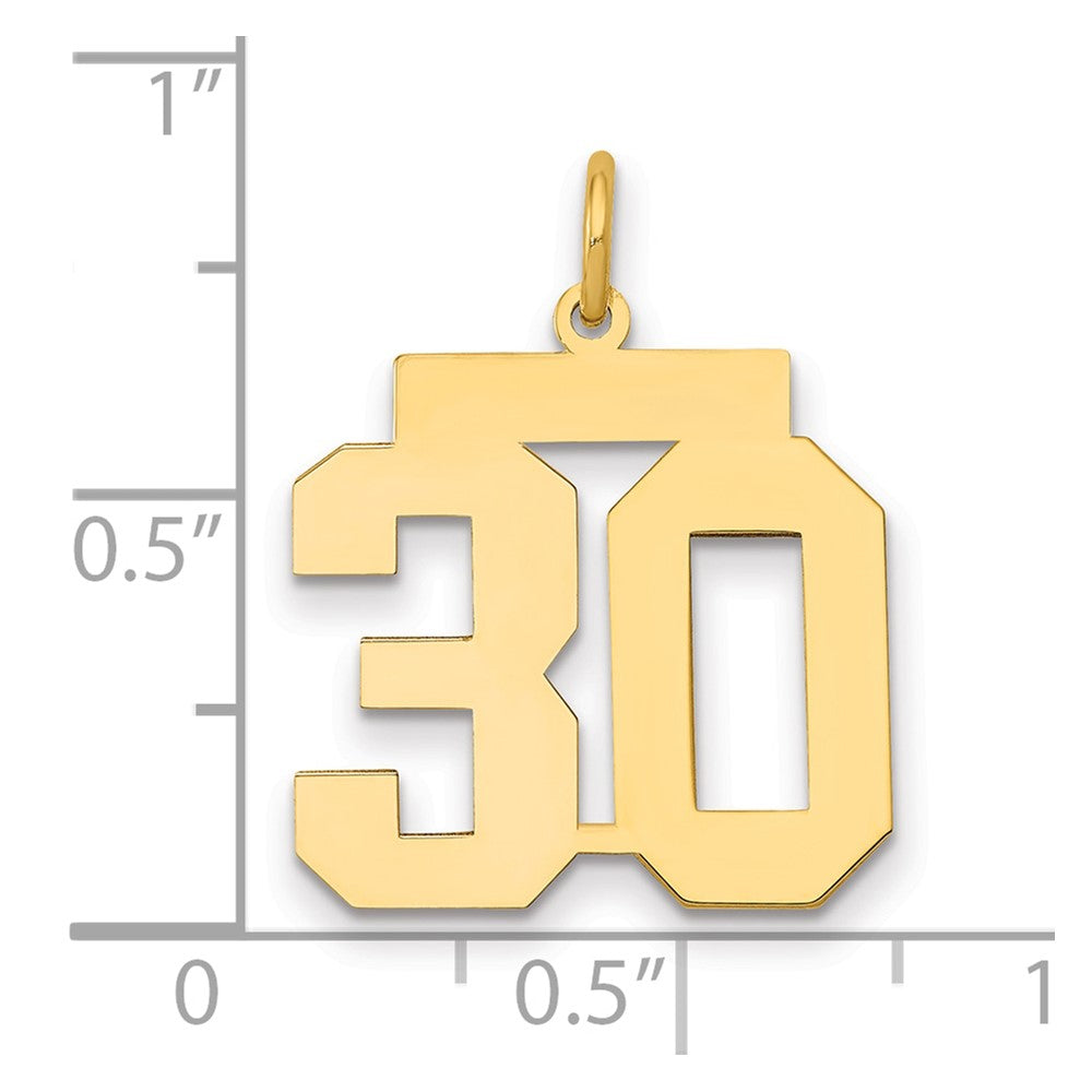 14k Medium Polished Number 30 Charm