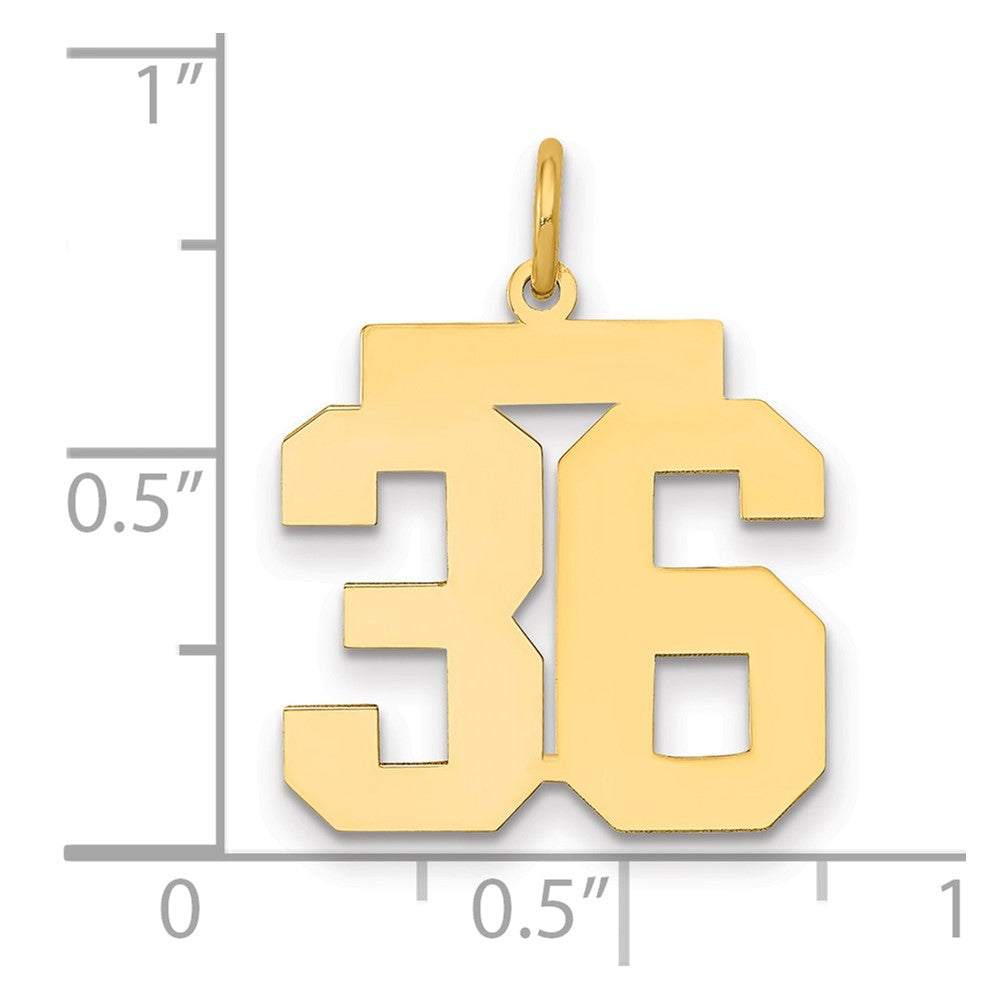 14k Medium Polished Number 36 Charm