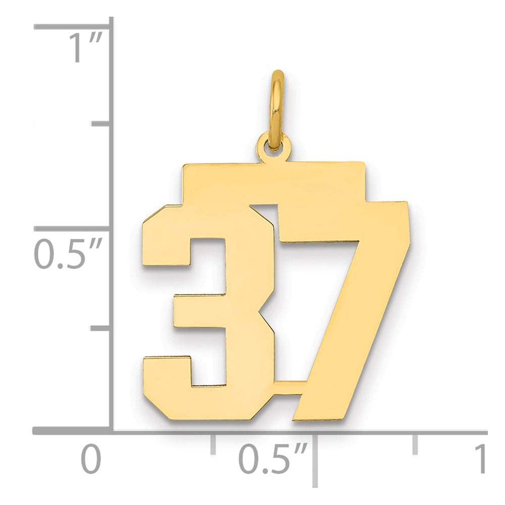 14k Medium Polished Number 37 Charm