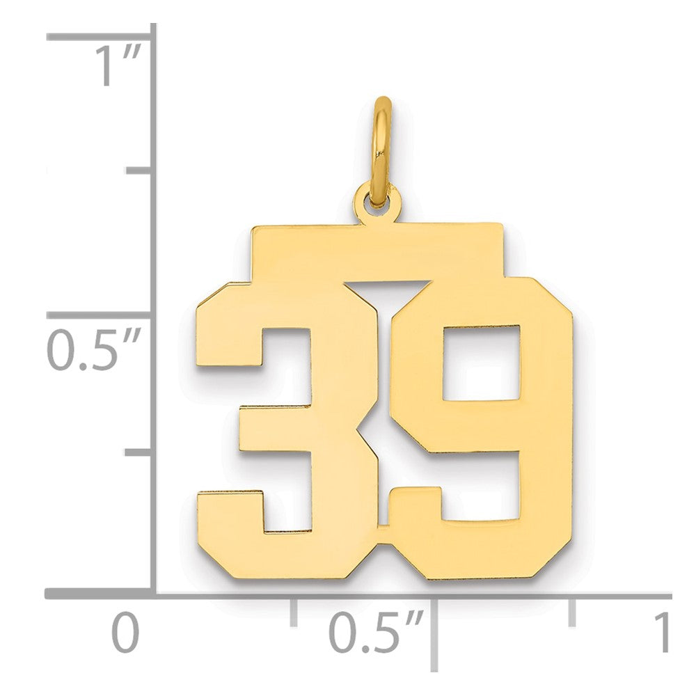 14k Medium Polished Number 39 Charm
