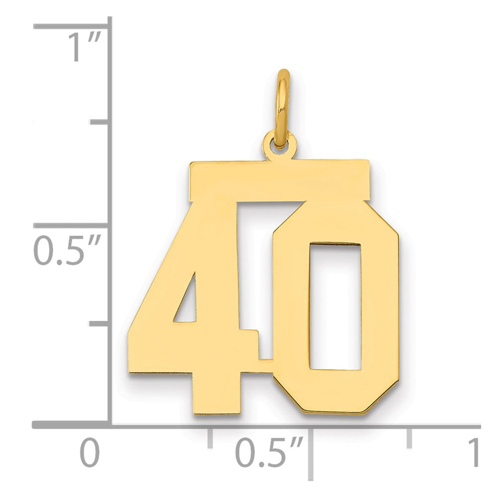 14k Medium Polished Number 40 Charm