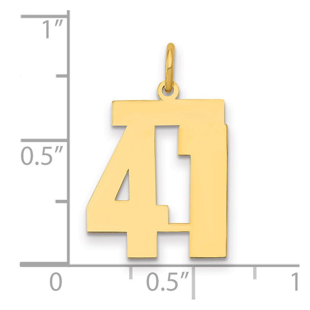 14k Medium Polished Number 41 Charm