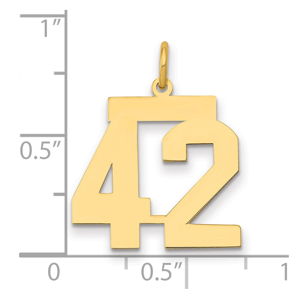 14k Medium Polished Number 42 Charm