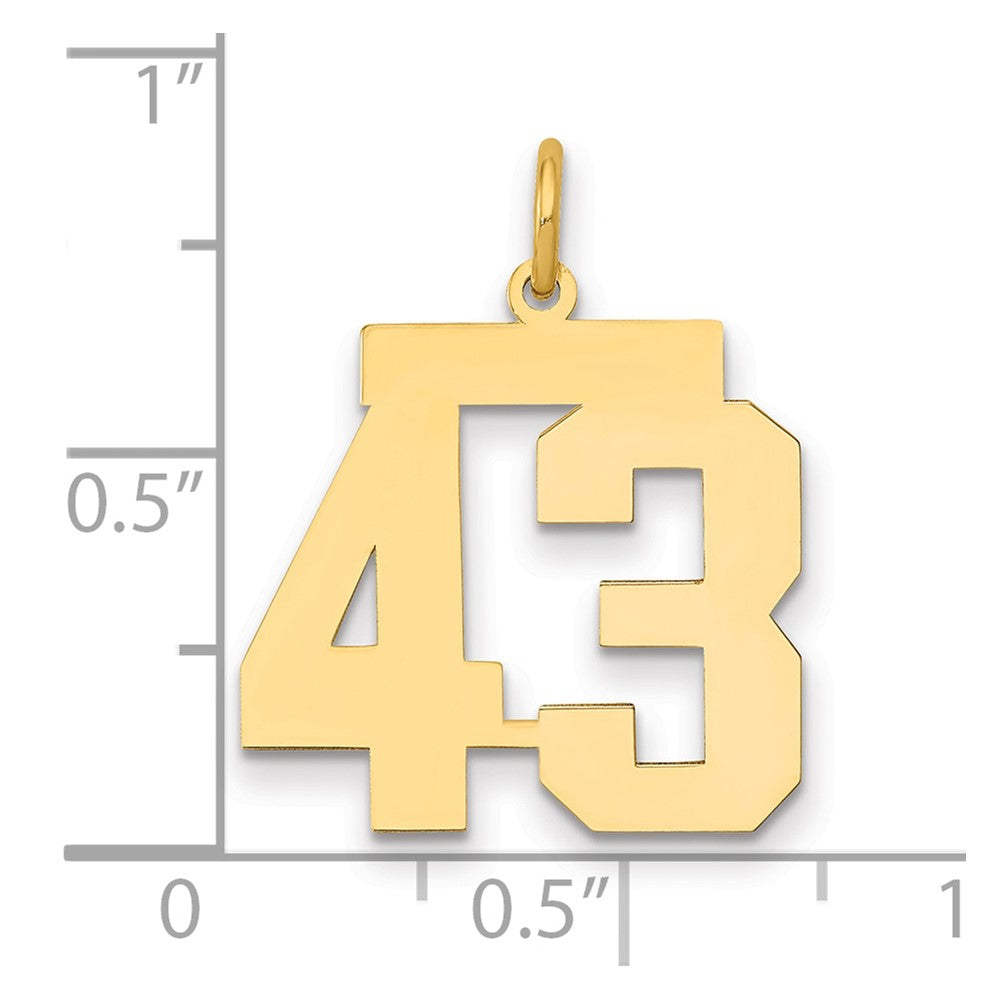14k Medium Polished Number 43 Charm