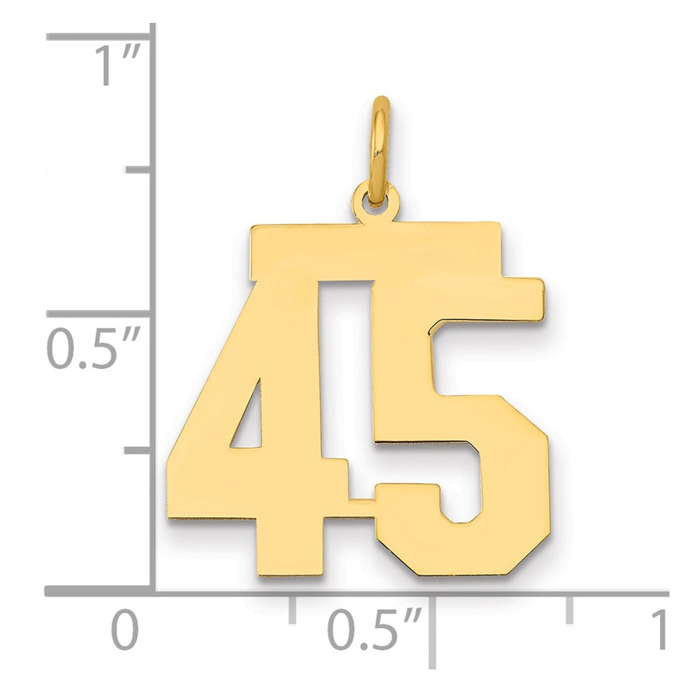 14k Medium Polished Number 45 Charm