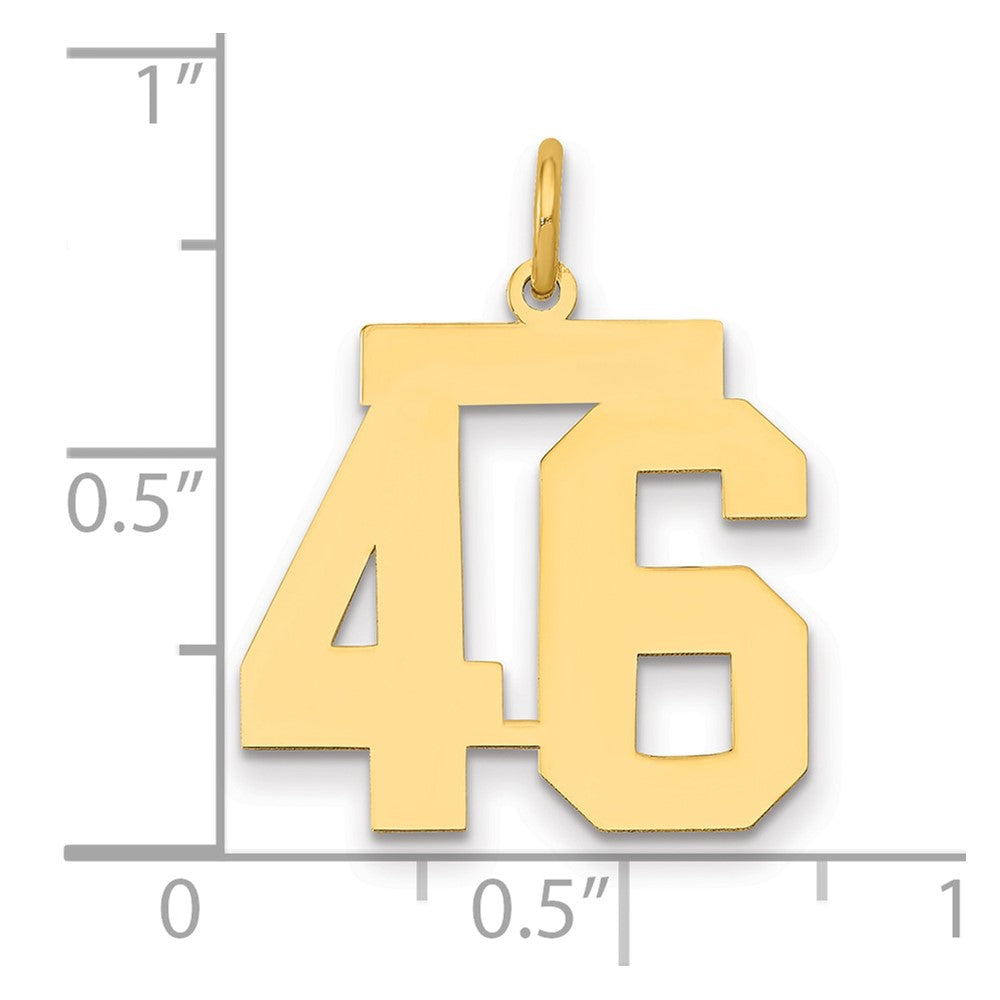 14k Medium Polished Number 46 Charm