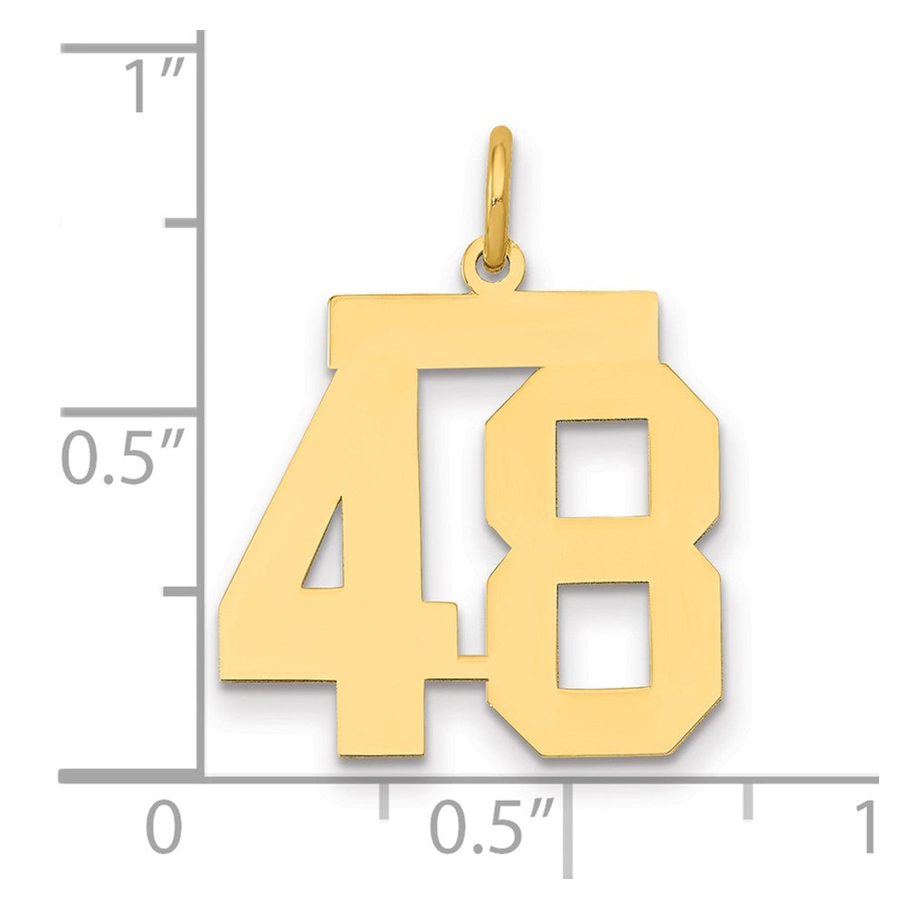 14k Medium Polished Number 48 Charm