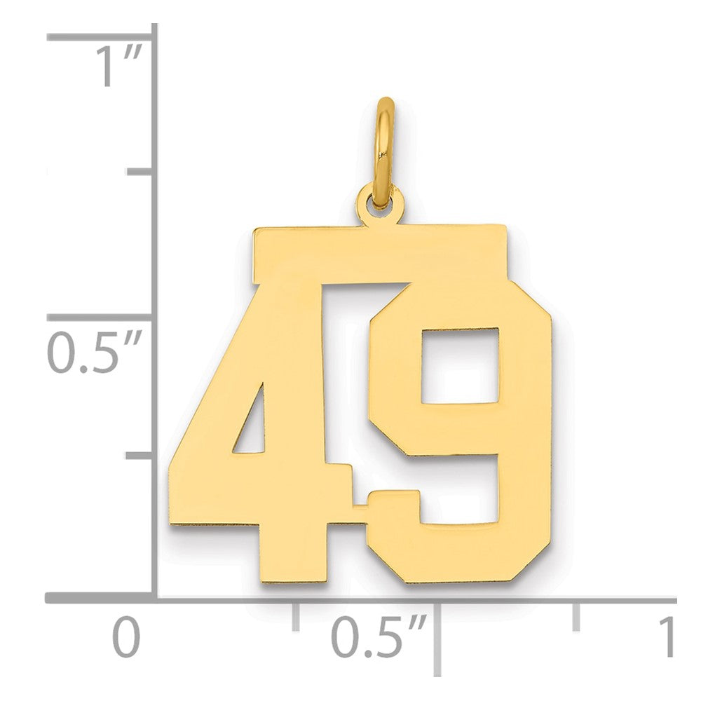 14k Medium Polished Number 49 Charm