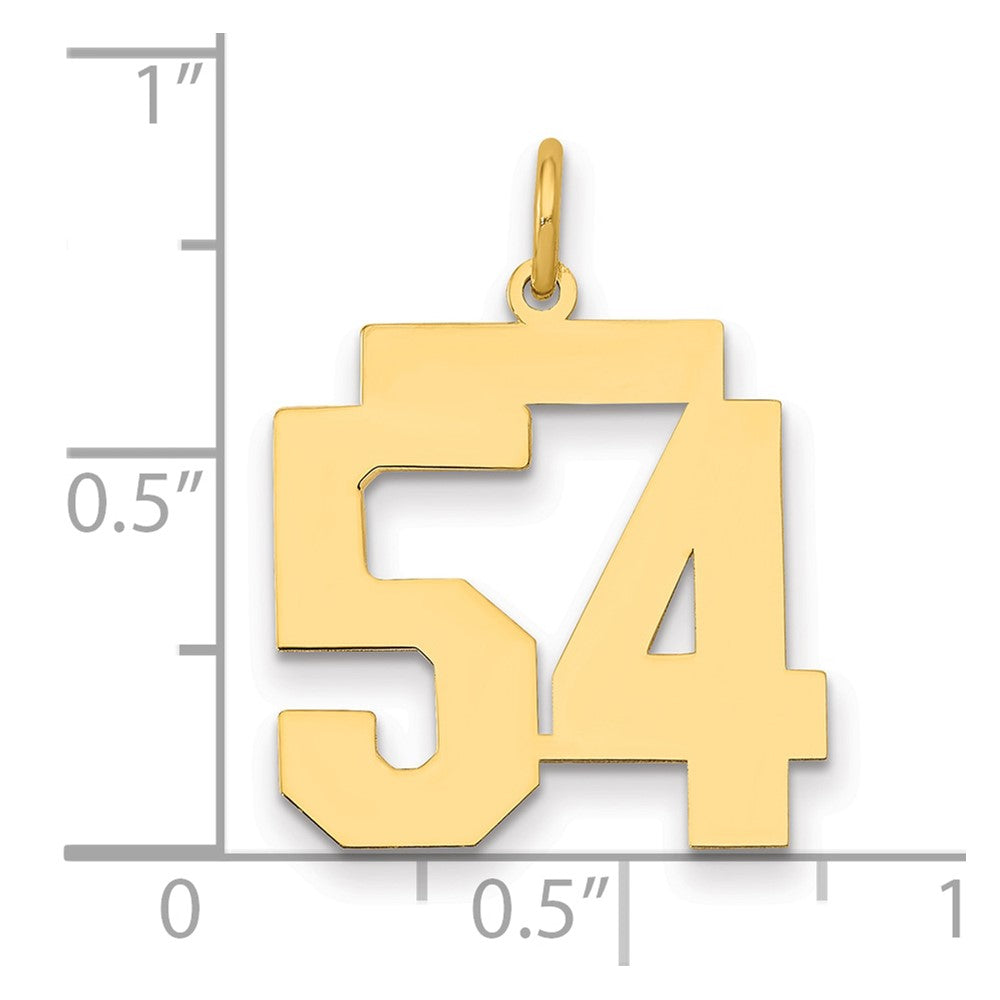 14k Medium Polished Number 54 Charm