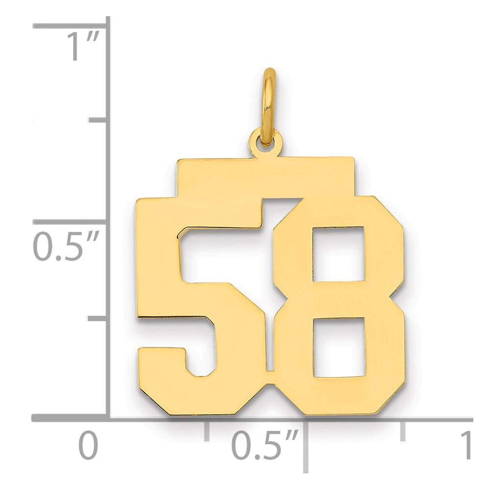 14k Medium Polished Number 58 Charm
