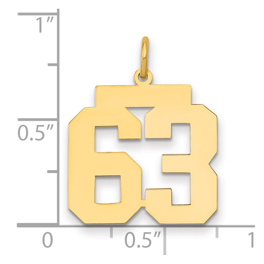 14k Medium Polished Number 63 Charm