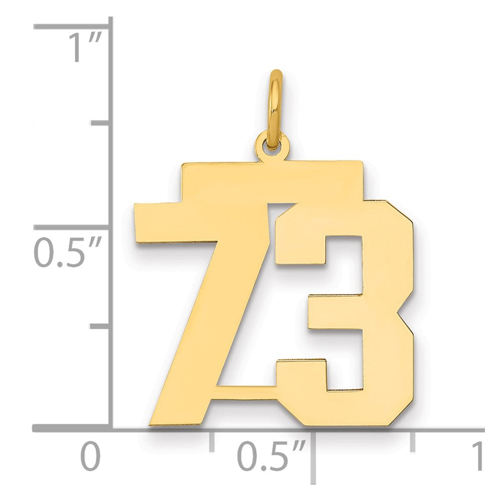 14k Medium Polished Number 73 Charm