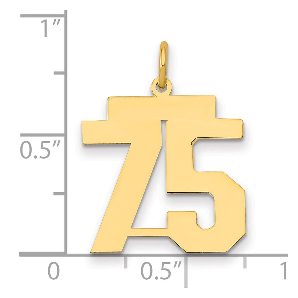 14k Medium Polished Number 75 Charm