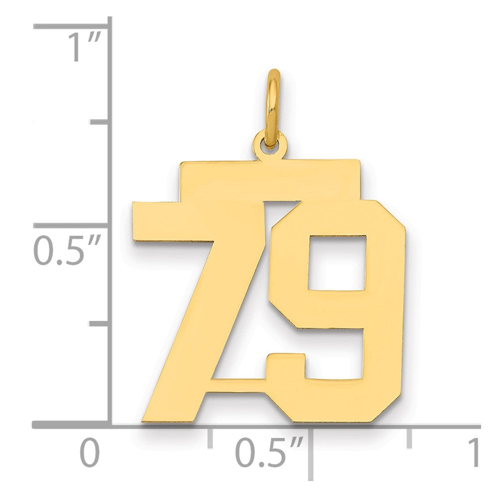 14k Medium Polished Number 79 Charm