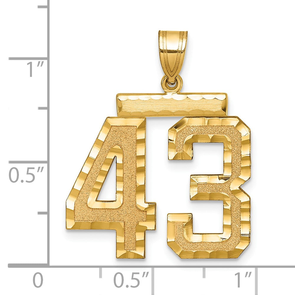 14k Large Brushed Diamond-cut Number 43 Charm