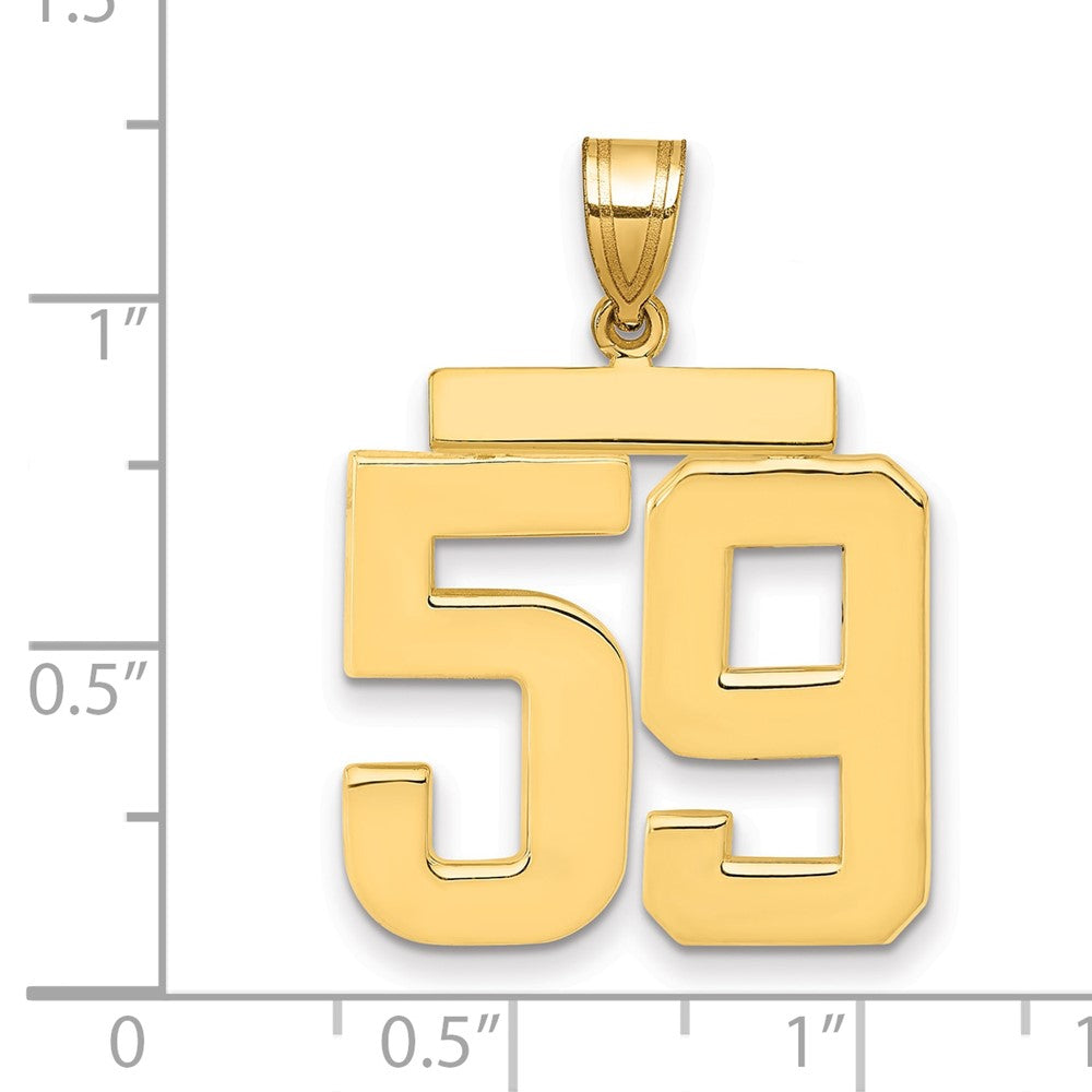 14k Large Polished Number 59 Charm