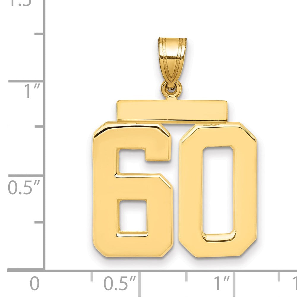 14k Large Polished Number 60 Charm