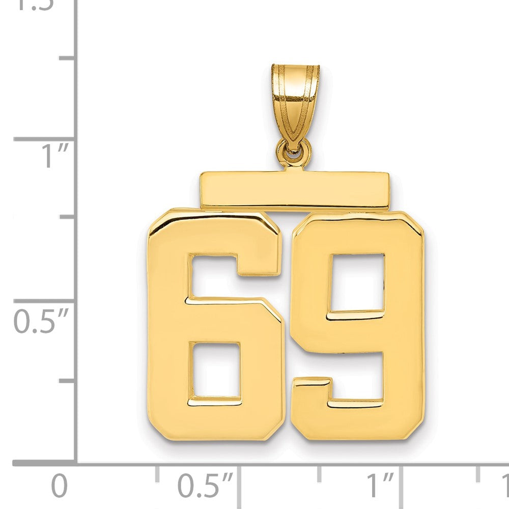 14k Large Polished Number 69 Charm