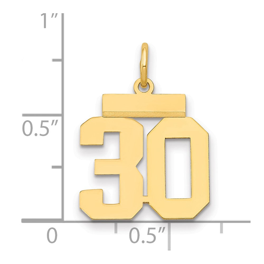 14k Small Polished Number 30 Charm