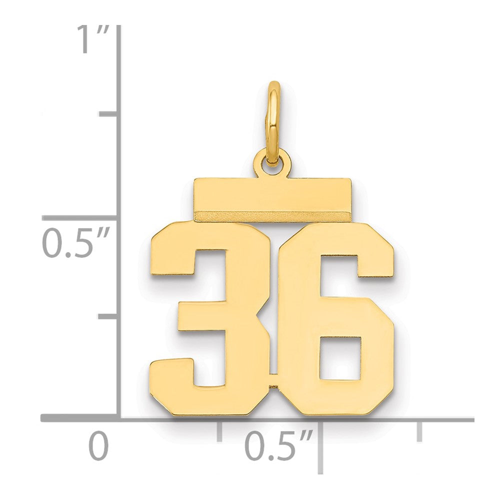 14k Small Polished Number 36 Charm