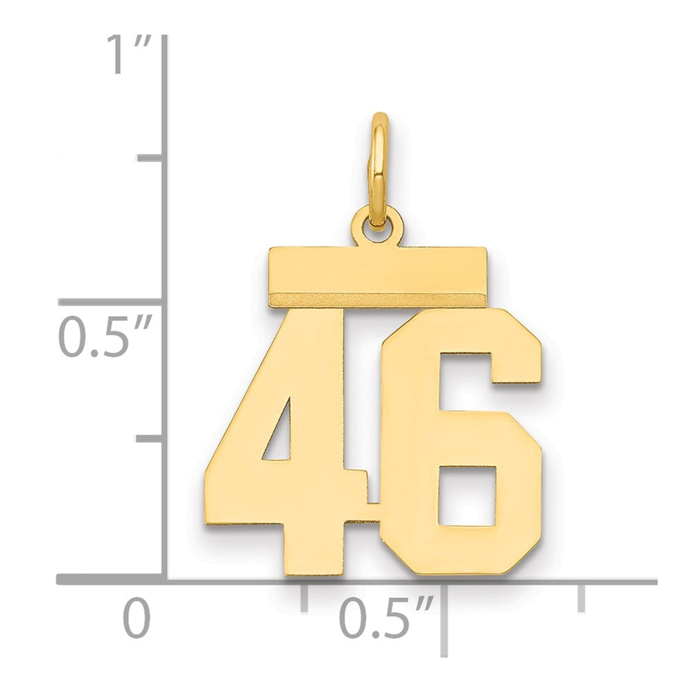 14k Small Polished Number 46 Charm
