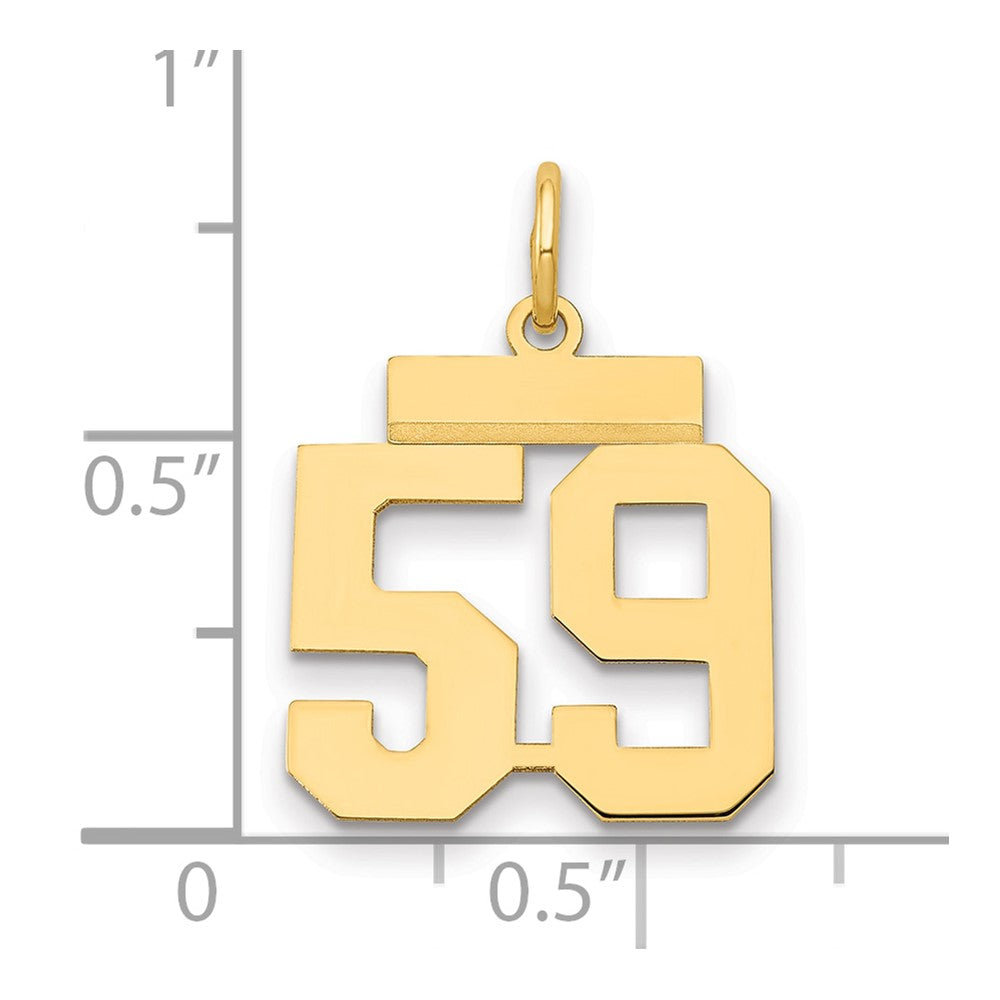 14k Small Polished Number 59 Charm