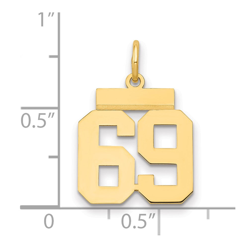14k Small Polished Number 69 Charm