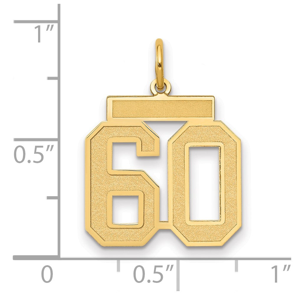 14k Medium Satin Number 60 Charm
