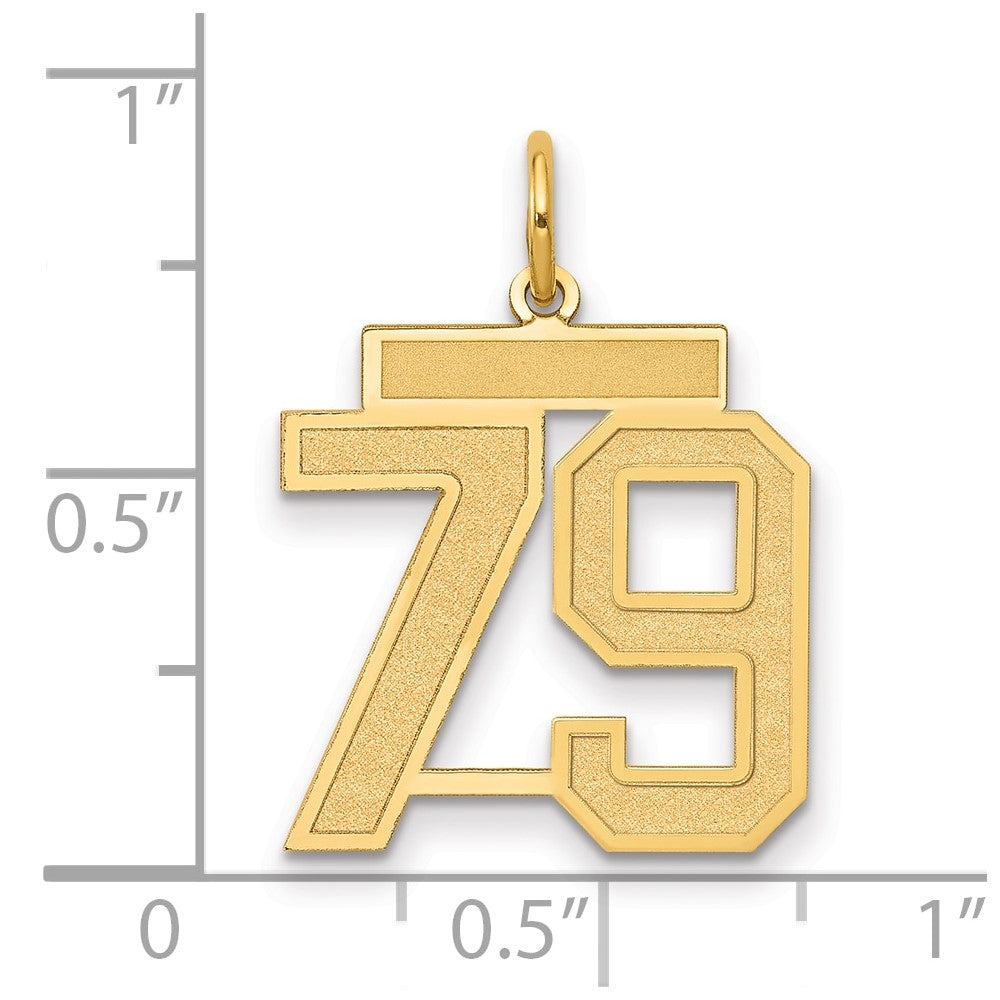 14k Medium Satin Number 79 Charm