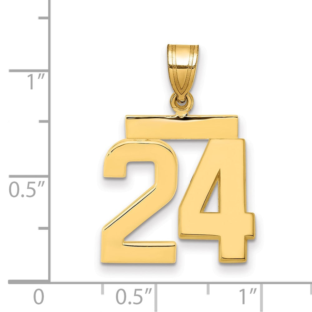 14k Medium Polished Number 24 Charm