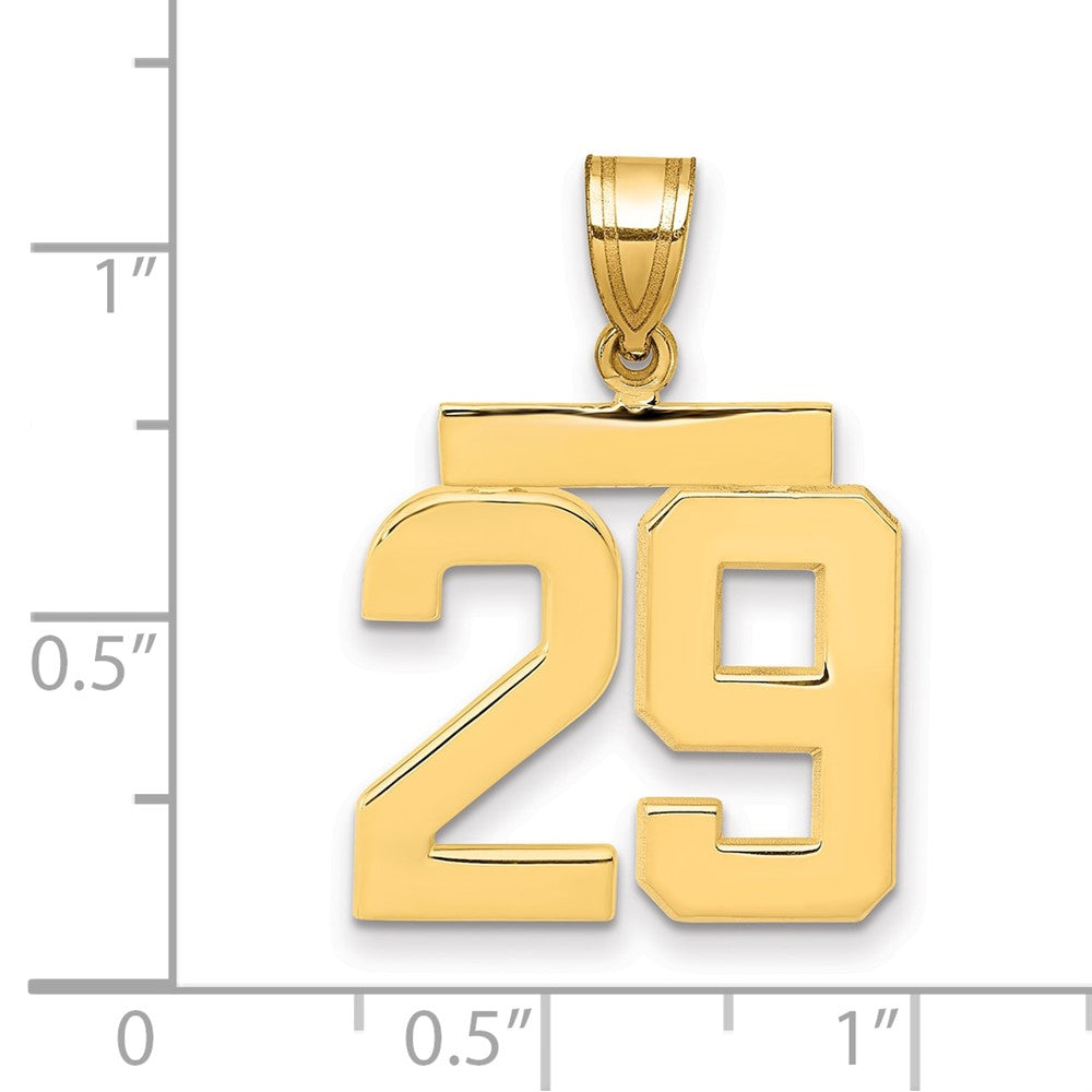 14k Medium Polished Number 29 Charm