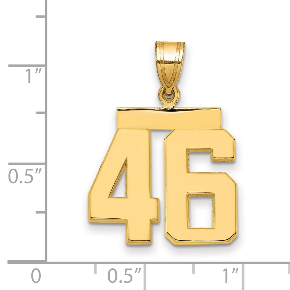 14k Medium Polished Number 46 Charm