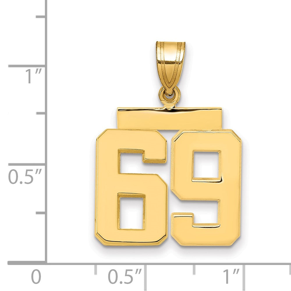 14k Medium Polished Number 69 Charm
