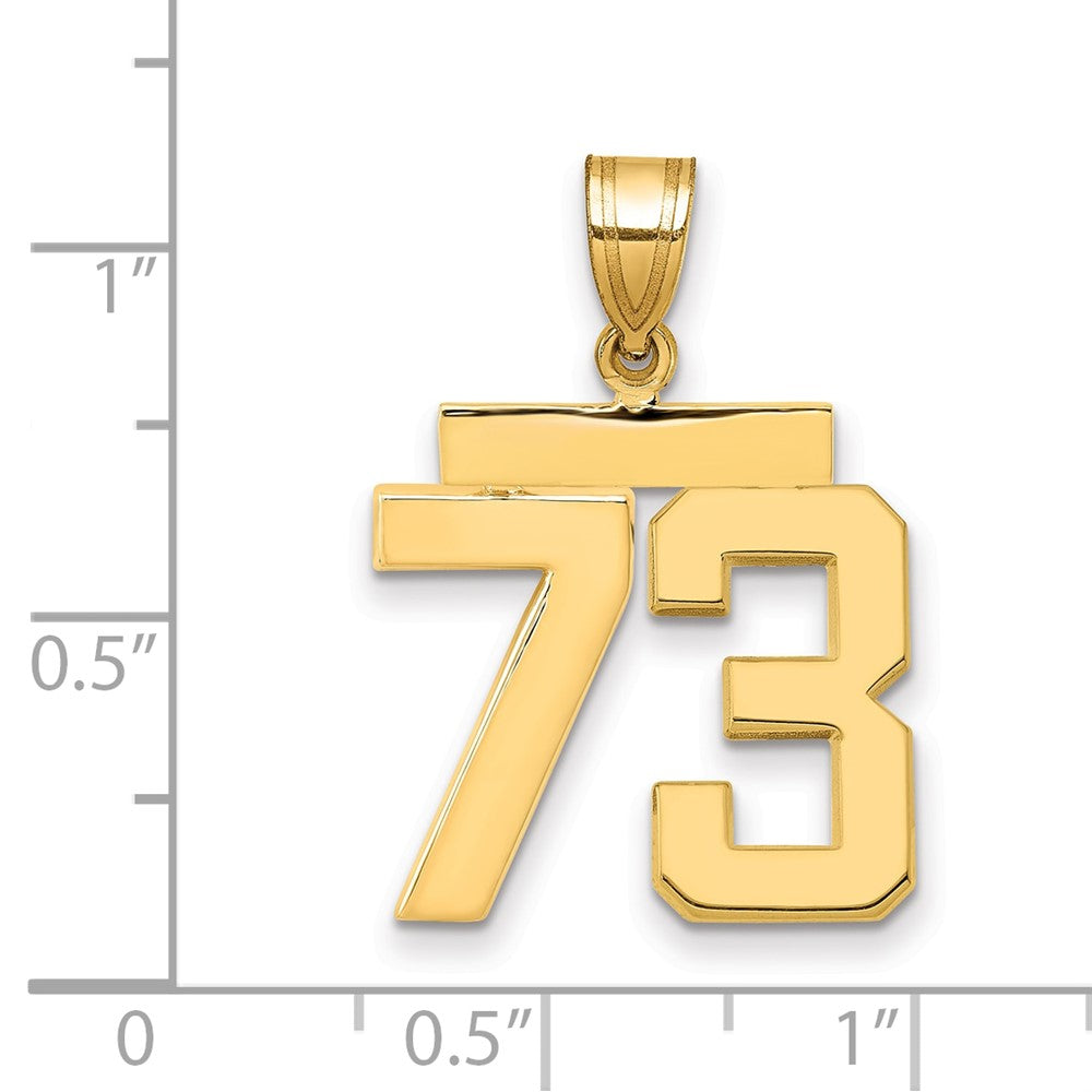 14k Medium Polished Number 73 Charm