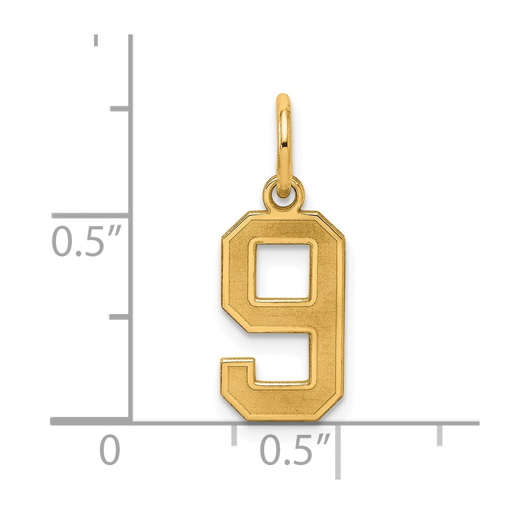 Sterling Silver/Gold-plated Satin Number 9 Charm