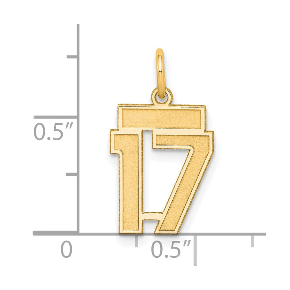 Sterling Silver/Gold-plated Satin Number 17 Charm