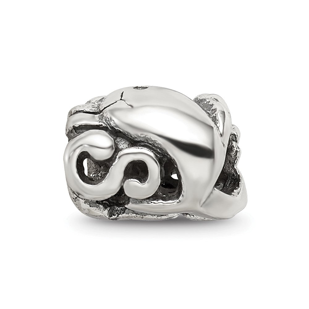 Sterling Silver Reflections Dolphin Bead