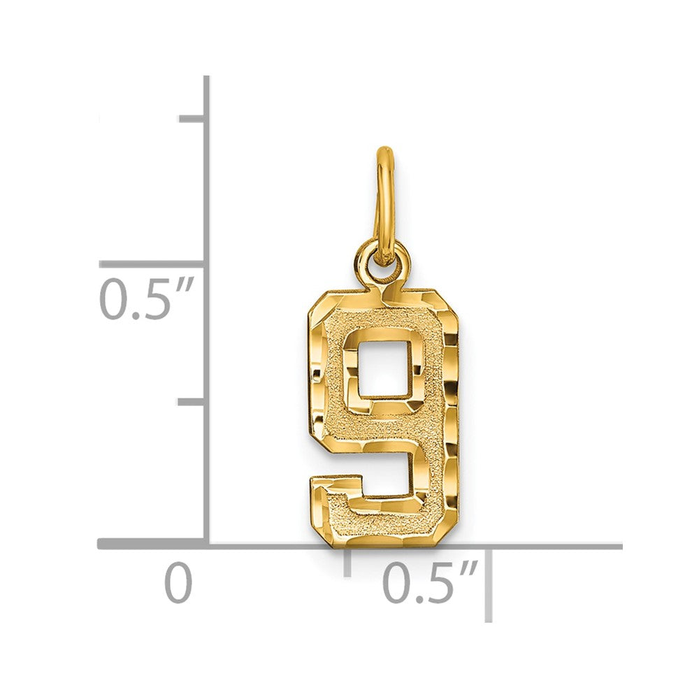 14k Yellow Gold Small Brushed Diamond-cut Number 9 Charm