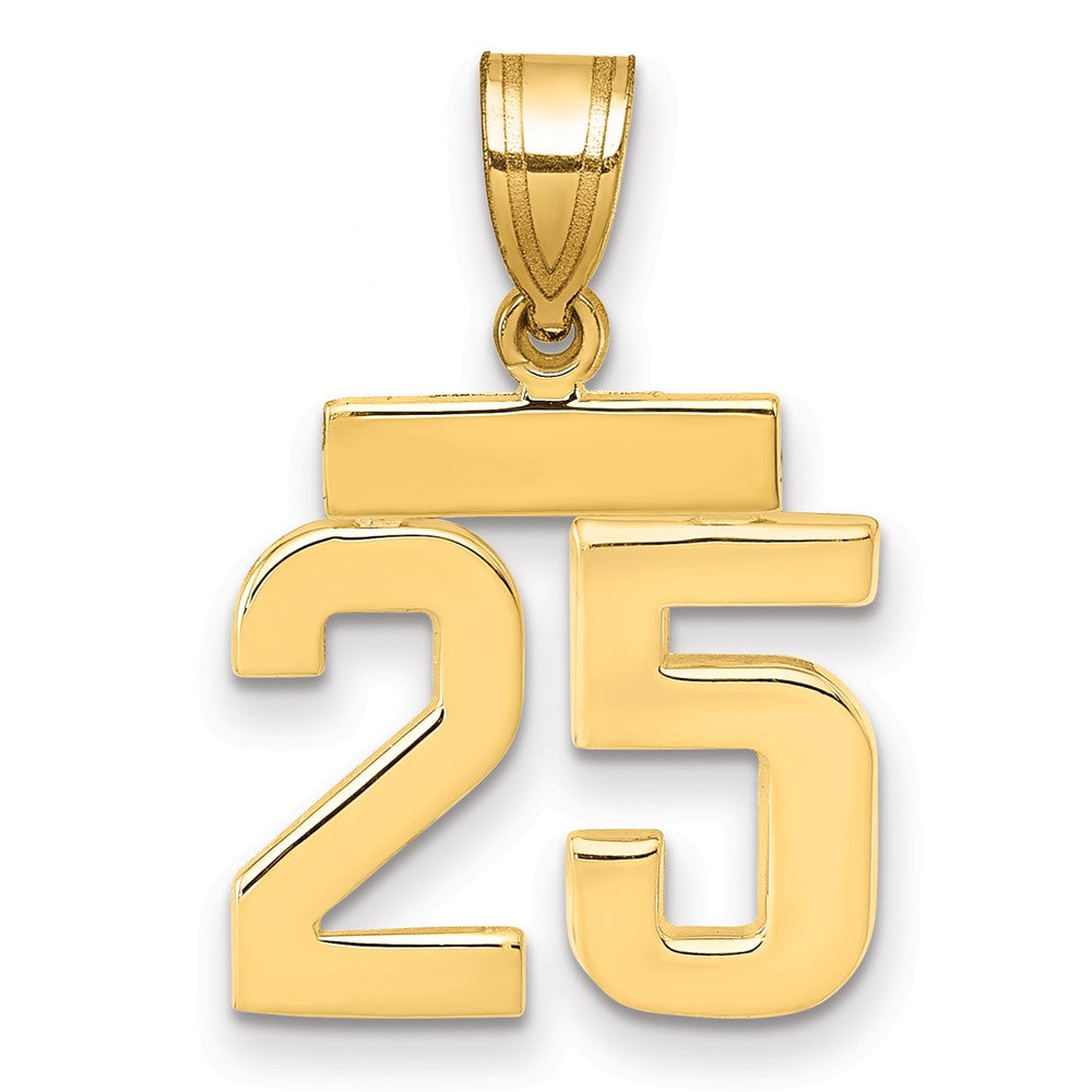 14k Yellow Gold Small Polished Number 25 Charm