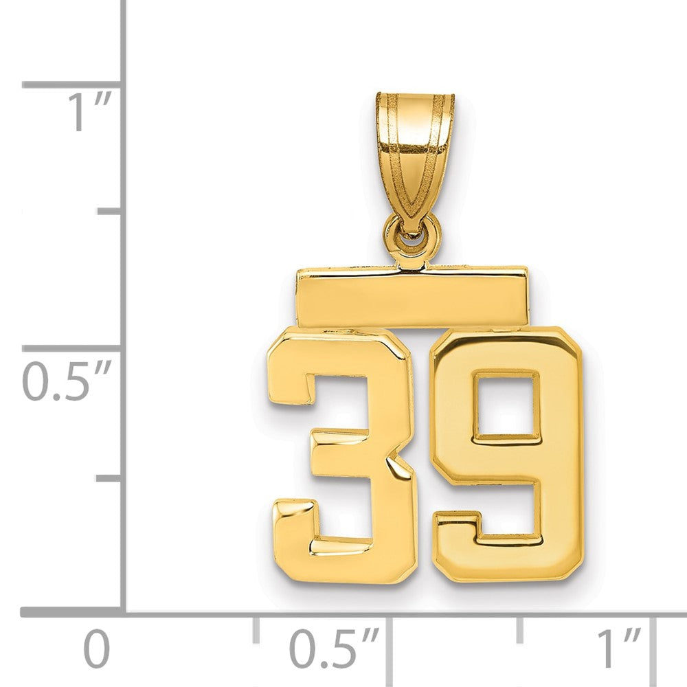 14k Small Polished Number 39 Charm
