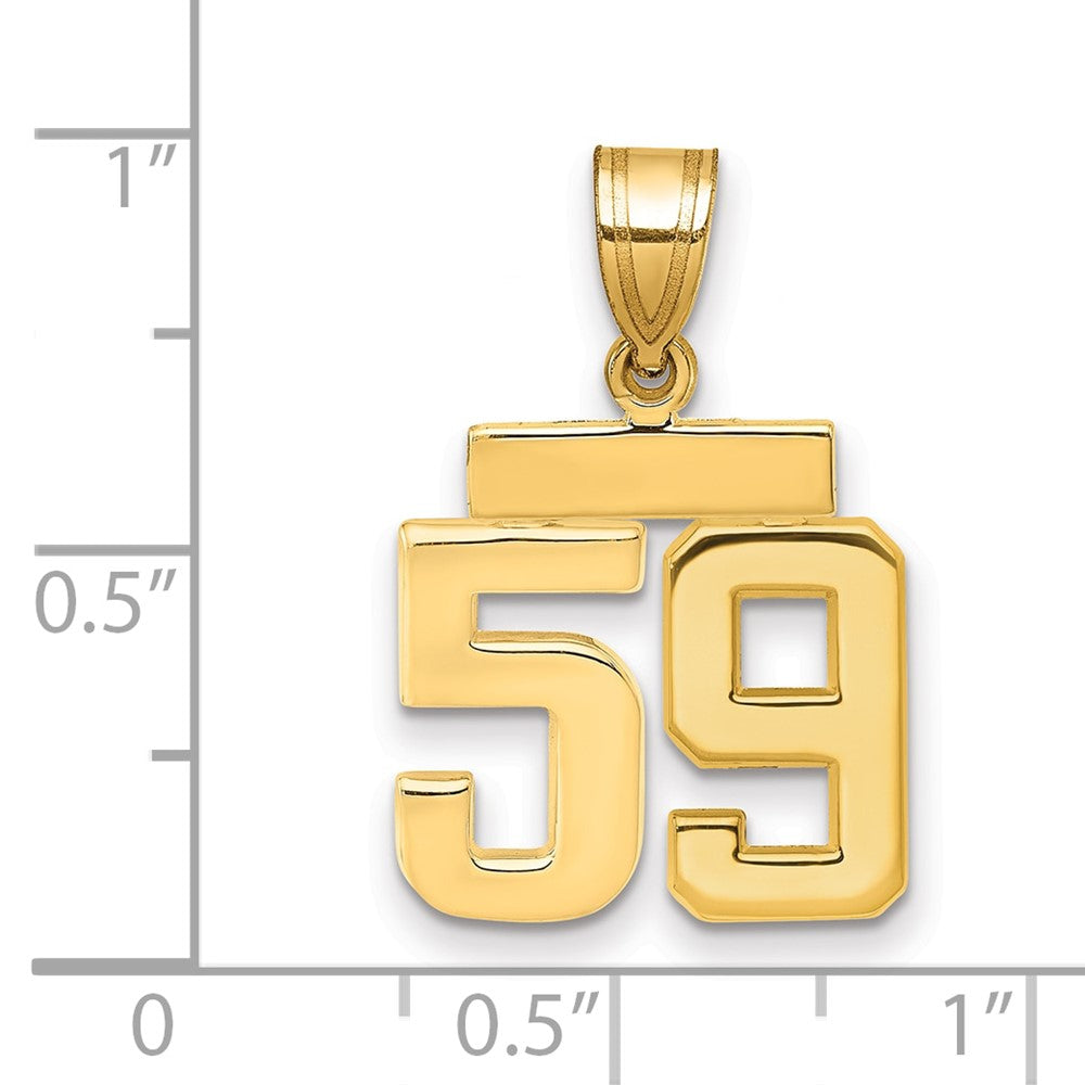 14k Small Polished Number 59 Charm