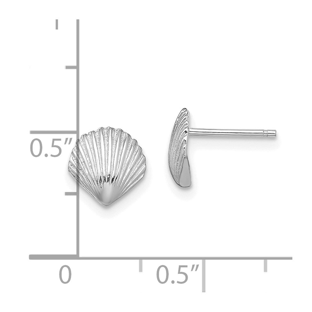 14k White Gold Scallop Shell Post Earrings