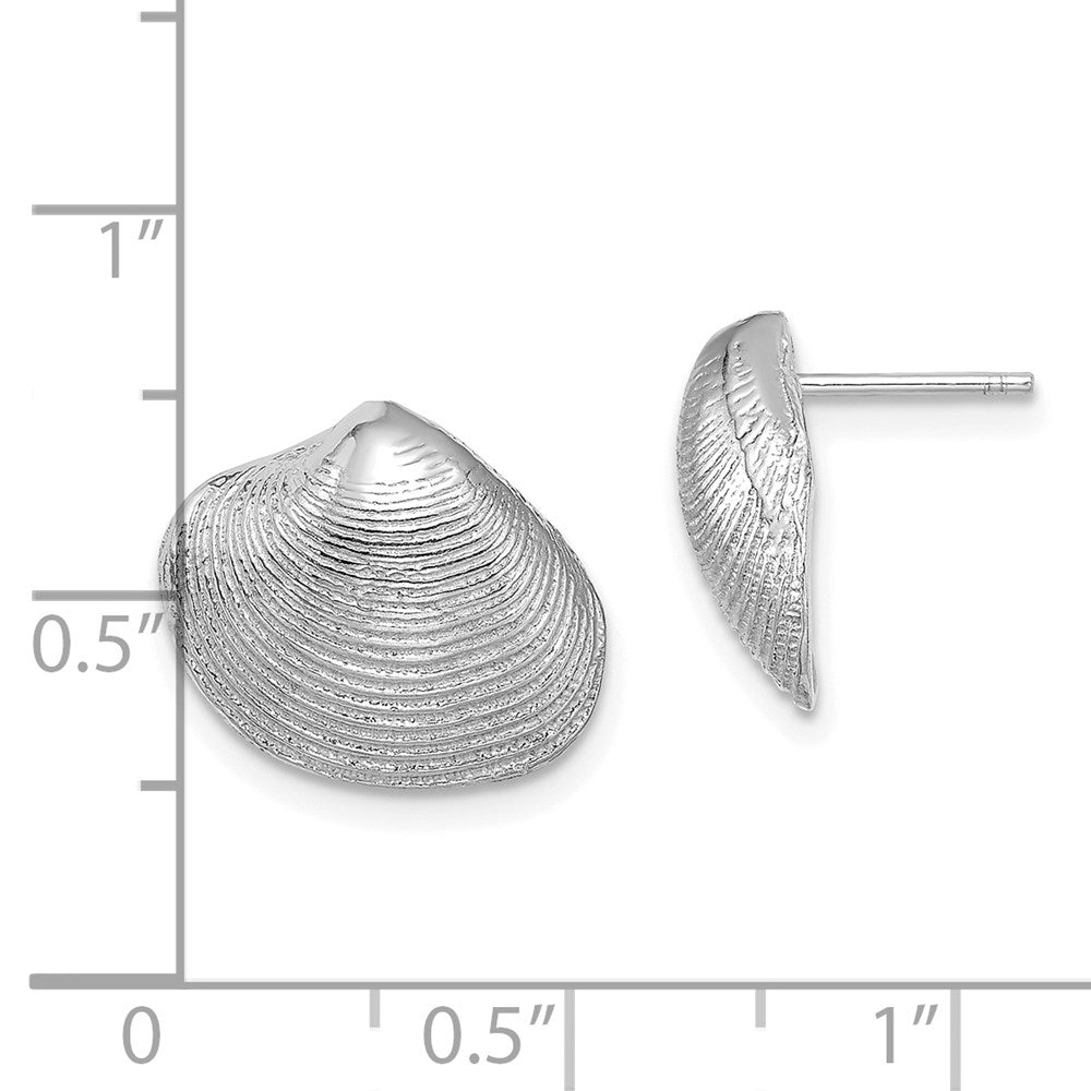 14k White Gold Clam Shell Post Earrings