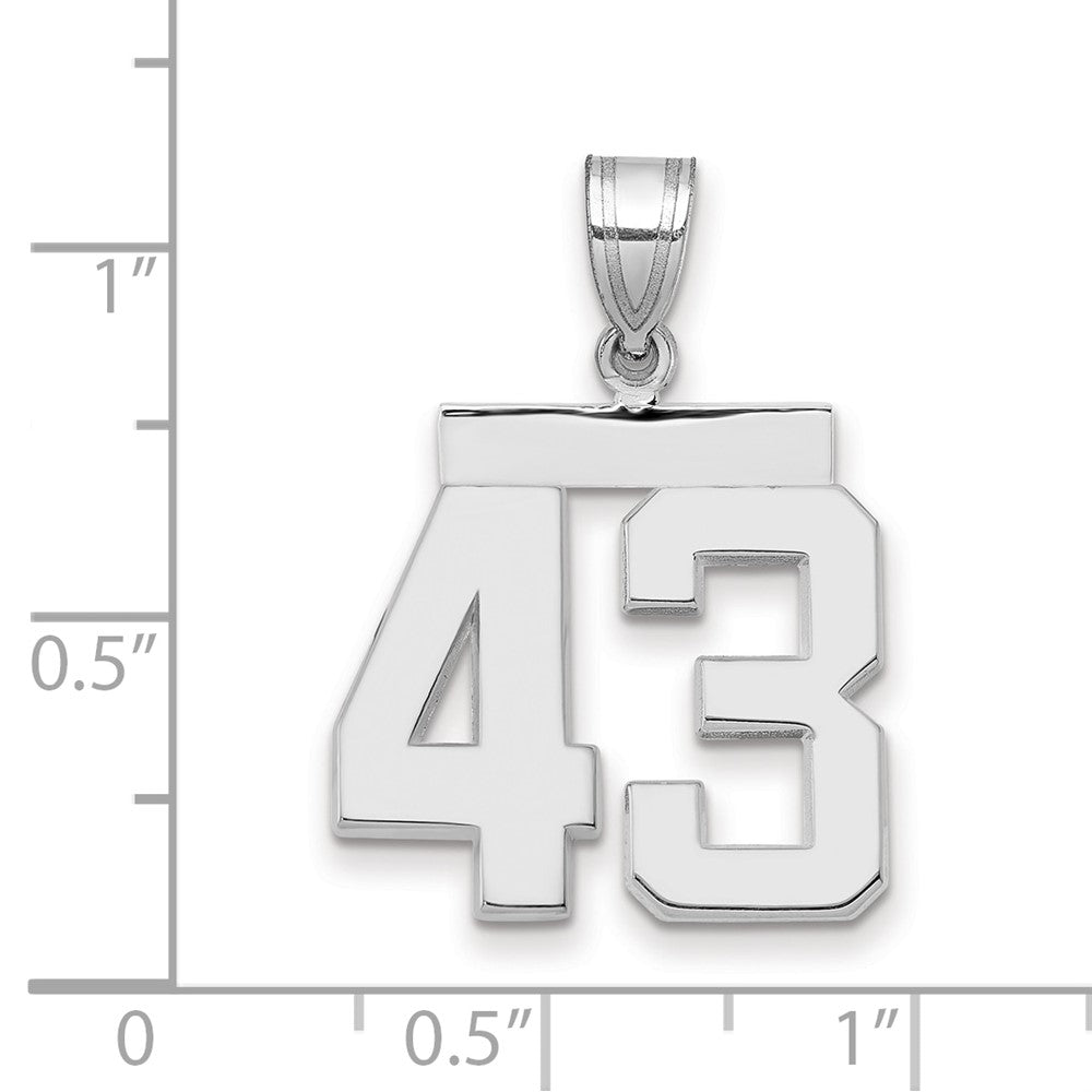 14kw Medium Polished Number 43 Charm